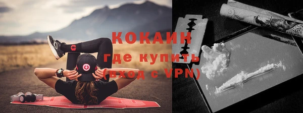 шишки Краснослободск