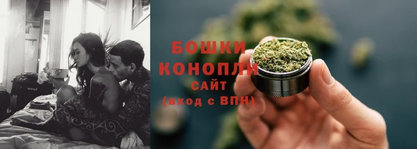 шишки Краснослободск
