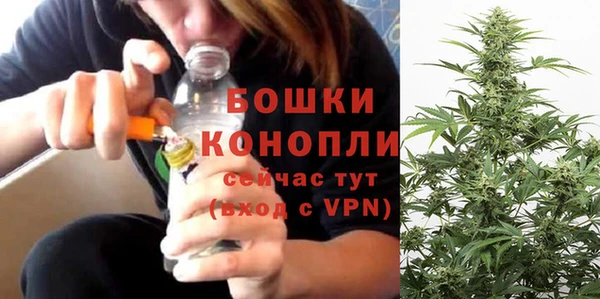 шишки Краснослободск