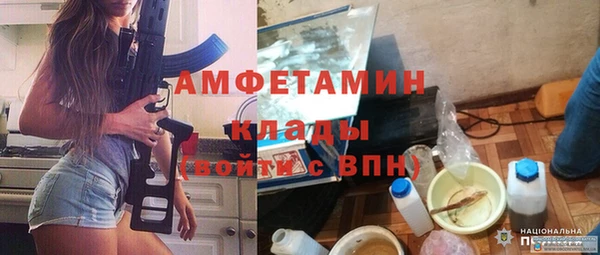 шишки Краснослободск
