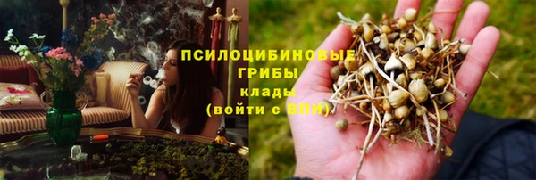 прущие крисы Красноперекопск
